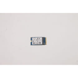 Lenovo 256GB M.2 PCIe NVMe SSD