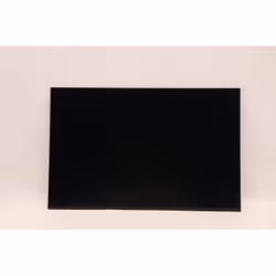 Lenovo 16-inch WUXGA IPS LCD panel.