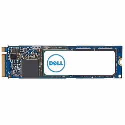DELL WJ49C, 1 TB, M.2