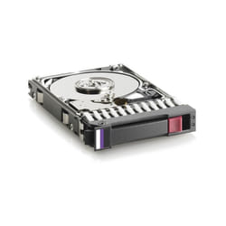 DRV, HD 300G SAS 2.5 DP V2.1