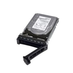 DELL 8TB 7.2K 3.5 SAS 12G 4Kn