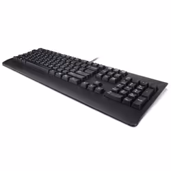 DT_KYB USB TRDTNL KB BK POR
