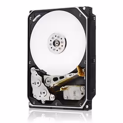 HGST 10TB SAS 3.5" SATA III