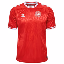 Denmark Home Shirt 2024/25 - 2XL