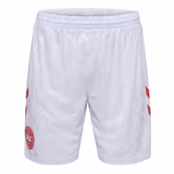 2024-2025 Denmark Home Shorts (White) - L