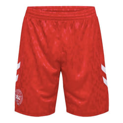 2024-2025 Denmark Away Shorts (Red) - L