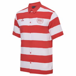 2024-2025 Denmark Fan Shirt (Red) - L