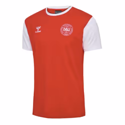 2024-2025 Denmark Fan 24 Block Tee (Red) - XXL