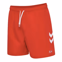 2024-2025 Denmark Swim Shorts (Red) - M