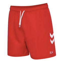 2024-2025 Denmark Swim Shorts (Red) - L