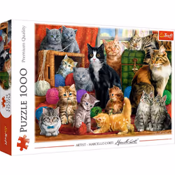 Trefl 10555, 1000 pc(s), Other, 12 yr(s)