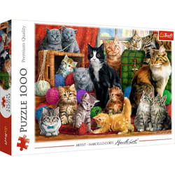 Trefl 10555 puzzle Jigsaw puzzle 1000 pc(s) Other