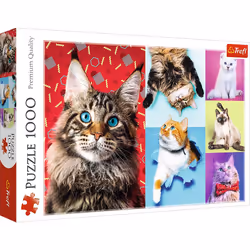 Trefl 10591, 1000 pc(s), Other, 12 yr(s)