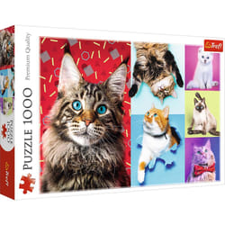 Trefl 10591 puzzle Jigsaw puzzle 1000 pc(s) Other