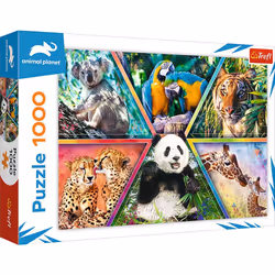 Trefl 10672, 1000 pc(s), Other, 12 yr(s)