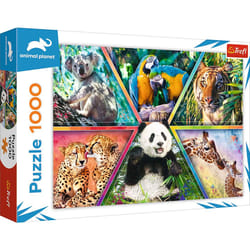 Trefl 10672 puzzle Jigsaw puzzle 1000 pc(s) Other
