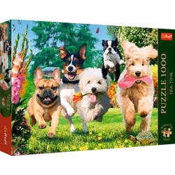 Trefl 10800, 1000 pc(s), Animals