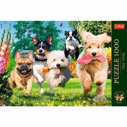 Trefl 10800 puzzle Jigsaw puzzle 1000 pc(s) Animals