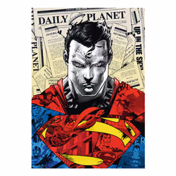 Trefl Premium Plus Quality Superman Jigsaw puzzle 1000 pc(s) Comics