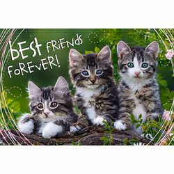 Trefl 13215 puzzle 260 pc(s) Animals