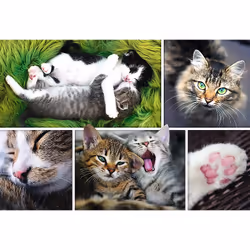Trefl 26145 puzzle Jigsaw puzzle 1500 pc(s) Animals