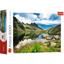 Trefl Starolesnianski Pond, Tatras, Slovakia