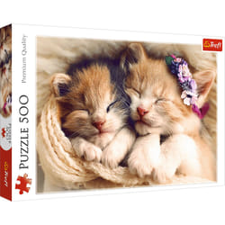 Trefl Sleeping kittens