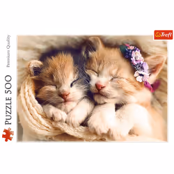 Trefl Sleeping kittens
