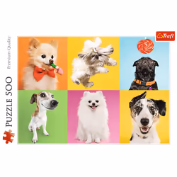 Trefl 37378 puzzle Jigsaw puzzle 500 pc(s) Animals
