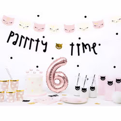 PartyDeco SCS-4 cake candle/sparkler Black, Gold, Pink, White 6 pc(s)
