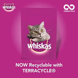 WHISKAS 1+ Cat Pouches Fish Selection In Jelly 12x100g (Pack of 4)