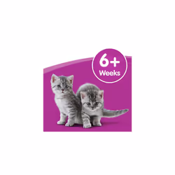 Whiskas Kitten Cat Milk Bottle Low In Lactose 5x (3x200ml) Best Befor 12th Oct21