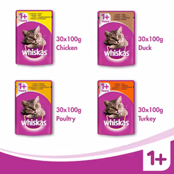 WHISKAS 1+ Cat Pouches Mixed Selection in Jelly, 120 x 100 g Mega Pack