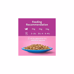 Whiskas 1+ Fish Selection in Jelly 40x85g Pouches, Adult Cat Food