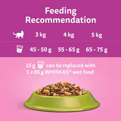 1+ Lamb Pack of 4 x 1.9 kg, Adult Cat Dry Food
