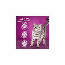 7+ Chicken Pack of 5 x 800 g Bags, Senior Cat Dry Food