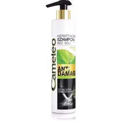 Delia Cosmetics Cameleo Keratin shampoo for extremely damaged hair 250ml, 250 ml, Shampoo, Non-professional, Women, Brittle h ...