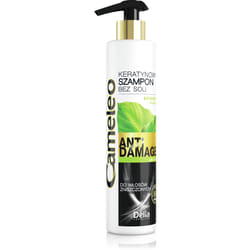 Delia Cosmetics Cameleo Keratin shampoo for extremely damaged hair 250ml
