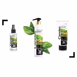 Delia Cosmetics Cameleo Conditioner with keratin and Botanical Complex for damaged hair 200ml