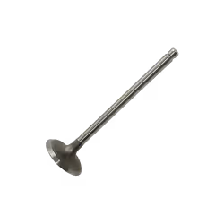 Inlet Valves; FAST; 41; for PEUGEOT, LANCIA, FIAT, CITROËN, IVECO; 0948A2, 0948E7, 948A2, 948E7, 504069200