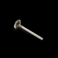 FAST FT50068 Exhaust Valve 30 Exhaust Side FIAT: Ducato III Van, IVECO: DAILY 3