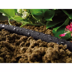 CELLFAST 19-002 garden hose 7.5 m Above/below ground Black