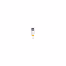 Ziaja - Dermatological Treatment Revitalizing Day & Night Essence 30ml