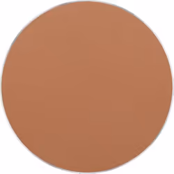 FREEDOM SYSTEM PERFECT FINISH PRESSED POWDER 14