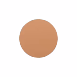 FREEDOM SYSTEM PERFECT FINISH PRESSED POWDER 15
