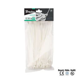 Bradas TS1188500N cable tie Transparent 100 pc(s)