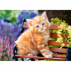 Castorland Ginger Kitten 180 pcs Jigsaw puzzle 180 pc(s) Fauna