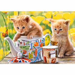Castorland Tea Time 500 pcs Jigsaw puzzle 500 pc(s) Flora