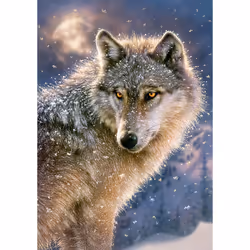 Castorland Lone wolf 500 pcs Jigsaw puzzle 500 pc(s) Fauna