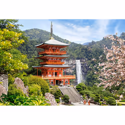 Castorland Seiganto-ji-Temple 1000 pcs Jigsaw puzzle 1000 pc(s) Landscape